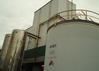 Un informe del USDA proyecta que en la próxima década el Mercosur seguirá consolidándose como líder en el comercio mundial de soja en desmedro de EE.UU.