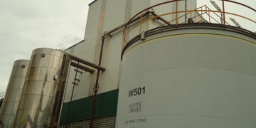 Un informe del USDA proyecta que en la próxima década el Mercosur seguirá consolidándose como líder en el comercio mundial de soja en desmedro de EE.UU.