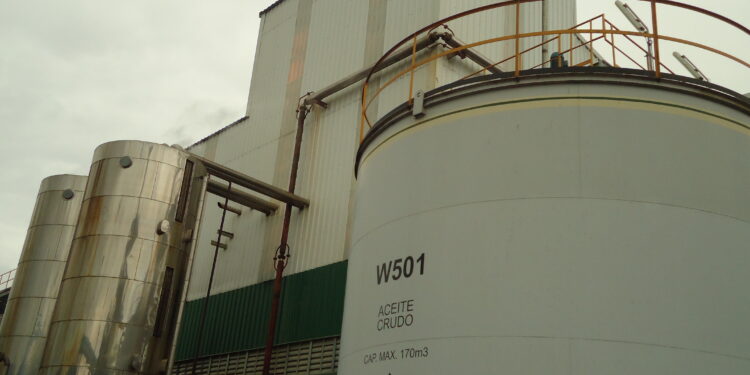 Un informe del USDA proyecta que en la próxima década el Mercosur seguirá consolidándose como líder en el comercio mundial de soja en desmedro de EE.UU.