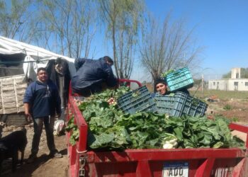 Sexismo: pequeños agricultores familiares podrán pedir créditos con una tasa del 21%, pero será del 19% para las agricultoras