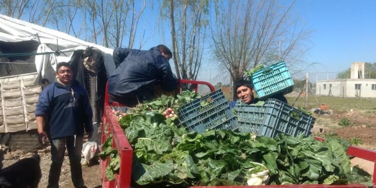Sexismo: pequeños agricultores familiares podrán pedir créditos con una tasa del 21%, pero será del 19% para las agricultoras