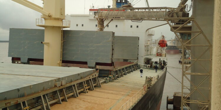 ¿Por qué las declaraciones de exportaciones argentinas de soja son tan bajas? La respuesta te sorprenderá