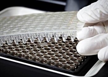 La Afip actualizó el procedimiento para solicitar la acreditación anticipada de IVA en emprendimientos biotecnológicos