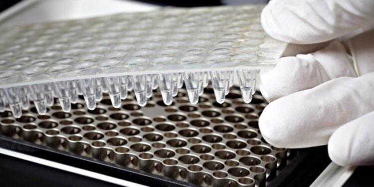 La Afip actualizó el procedimiento para solicitar la acreditación anticipada de IVA en emprendimientos biotecnológicos