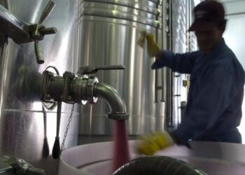 Premio al mejor lobby agroindustrial: los vinos dejaron de estar incluidos en el programa de precios máximos