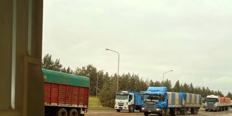 Sorpresa: Se oficializaron las tarifas orientativas de fletes de granos con un ajuste superior al anunciado