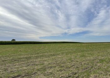 Alerta climática: En las próximas dos semanas no se esperan lluvias en la mayor parte de la zona pampeana argentina
