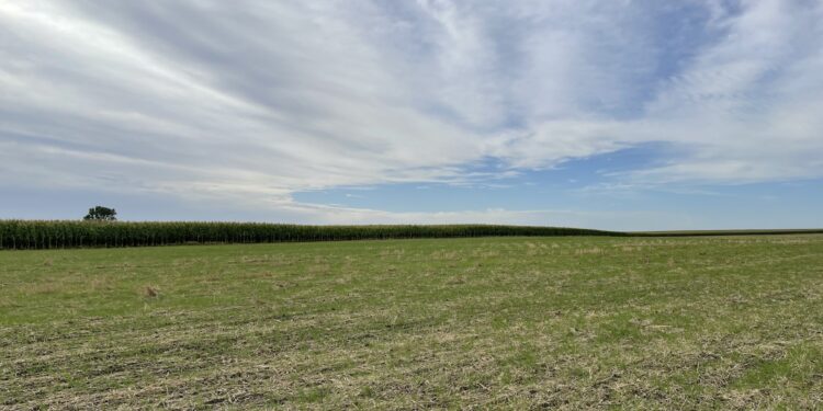 Alerta climática: En las próximas dos semanas no se esperan lluvias en la mayor parte de la zona pampeana argentina