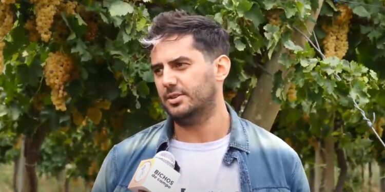 Nieto e hijo de viñateros, Ernesto Olivera aconseja a las viejas generaciones de productores que se profesionalicen si quieren salvar la actividad de la extinción