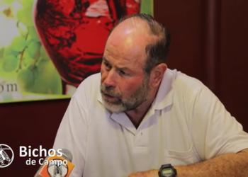 Eduardo Garcés responsabiliza a las grandes bodegas por la crisis vitícola: “Evidentemente alguien en el camino se queda con nuestra parte”