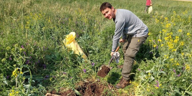 Sostenibilidad: en 2019/20 un 19% de las empresas agrícolas argentinas emplearon cultivos de servicio