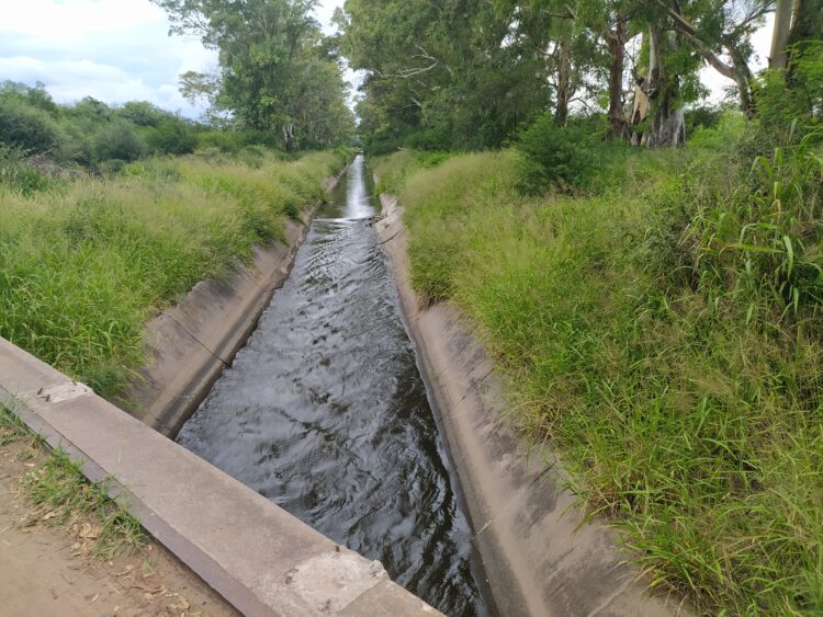 Los muchachos que se imaginaron produciendo alfalfa y terminarán elaborando los primeros vinos de Cruz del Eje