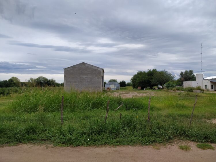 Los muchachos que se imaginaron produciendo alfalfa y terminarán elaborando los primeros vinos de Cruz del Eje