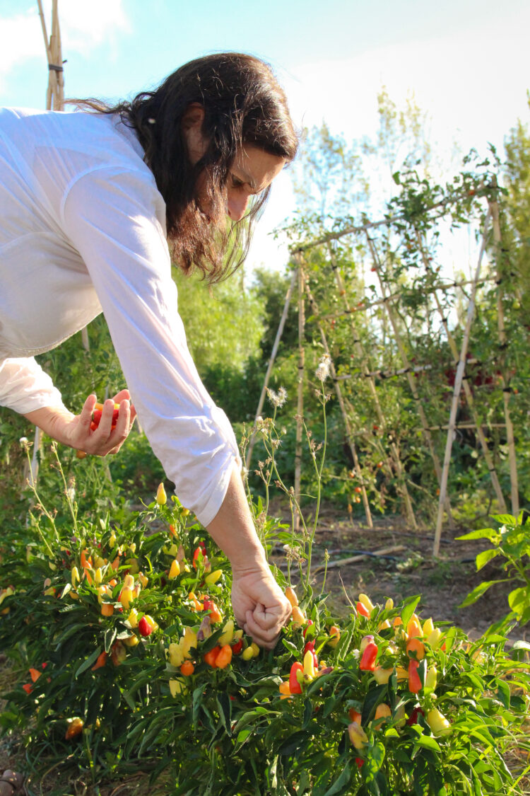 En Albardón, San Juan, Lucía y Pedro van creando su propio paraíso autosustentable: tiene granja, huerta y hasta un bosque de plantas autóctonas
