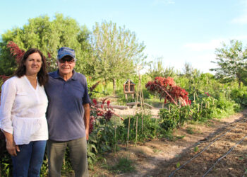 En Albardón, San Juan, Lucía y Pedro van creando su propio paraíso autosustentable: tiene granja, huerta y hasta un bosque de plantas autóctonas