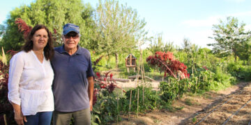 En Albardón, San Juan, Lucía y Pedro van creando su propio paraíso autosustentable: tiene granja, huerta y hasta un bosque de plantas autóctonas