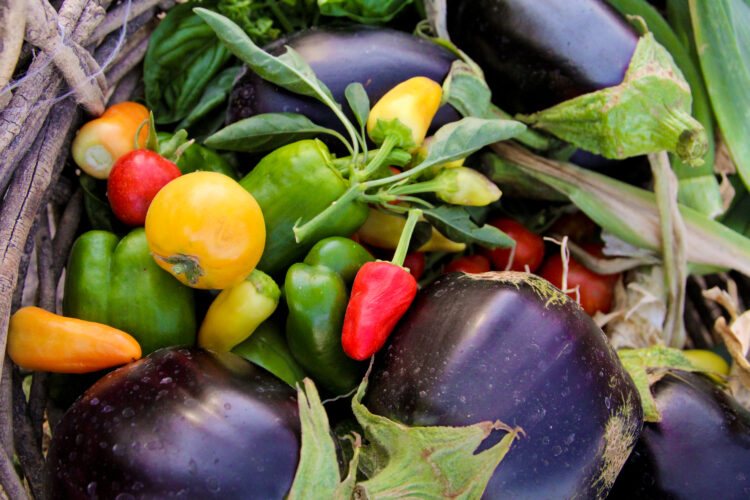 En Albardón, San Juan, Lucía y Pedro van creando su propio paraíso autosustentable: tiene granja, huerta y hasta un bosque de plantas autóctonas