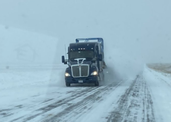 Explotó el precio del trigo ante el temor de que la ola de frío extremo dañe el cultivo de invierno en Estados Unidos