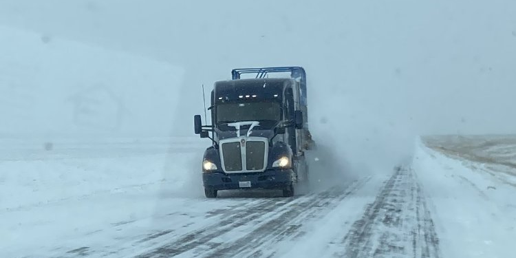Explotó el precio del trigo ante el temor de que la ola de frío extremo dañe el cultivo de invierno en Estados Unidos