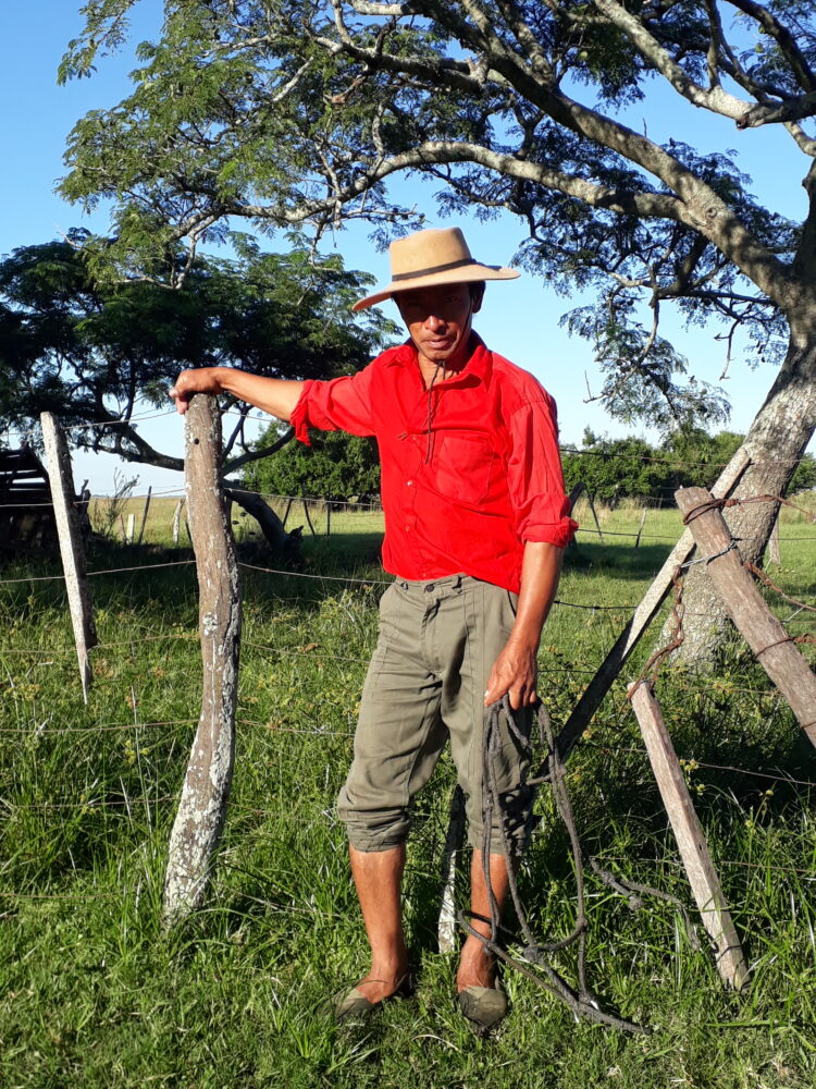 Mingo Ávalos cría vacas estero adentro y recibe turistas que quieren saber cómo es eso del arreo acuático