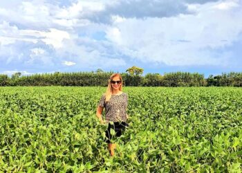 Cómo la soja salvó a la economía paraguaya: “Los productores no merecen el desprecio de la sociedad, sino su reconocimiento y respeto”