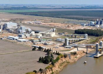 Al precio de la soja argentina le cuesta cada vez surfear la ola alcista internacional luego de la implementación del fideicomiso aceitero