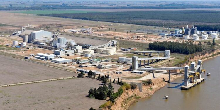 Al precio de la soja argentina le cuesta cada vez surfear la ola alcista internacional luego de la implementación del fideicomiso aceitero