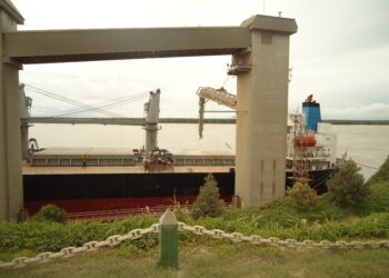 Pum para Arriba: En el primer mes del año la liquidación de agrodivisas fue de 2140 millones de dólares