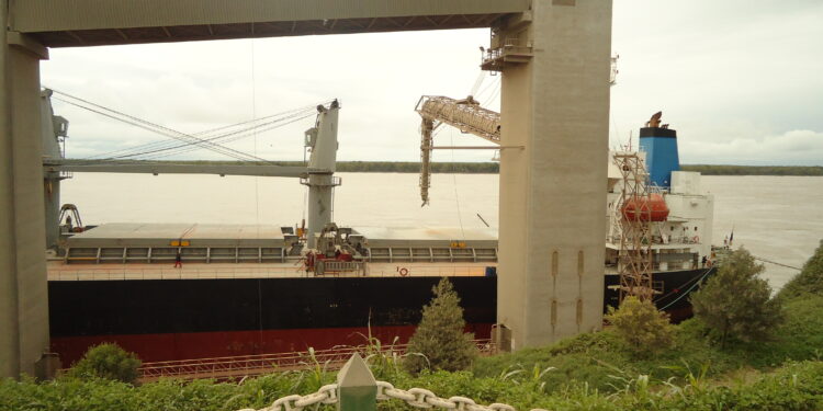 Pum para Arriba: En el primer mes del año la liquidación de agrodivisas fue de 2140 millones de dólares