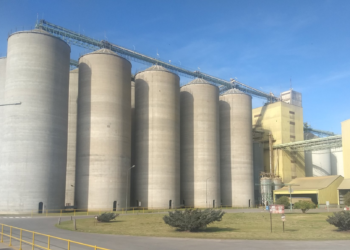 ¿Se viene la cerveza agroecológica? Quilmes hizo un convenio con el INTA para promover la producción de cebada sin uso de insumos externos