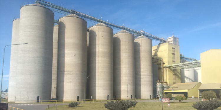 ¿Se viene la cerveza agroecológica? Quilmes hizo un convenio con el INTA para promover la producción de cebada sin uso de insumos externos