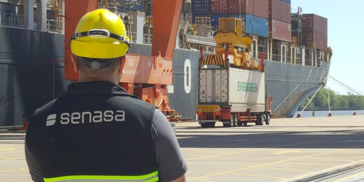 El Senasa duplicará el tamaño de su estructura regional de funcionarios al recrear 7 direcciones y 28 coordinaciones