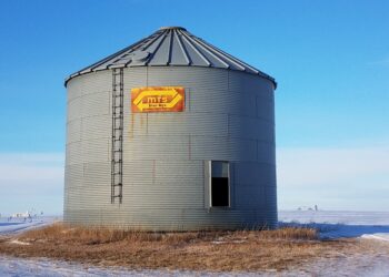 Contra esto competimos: En 2020 los productores estadounidenses recibieron ayudas estatales por más de 46.000 millones de dólares