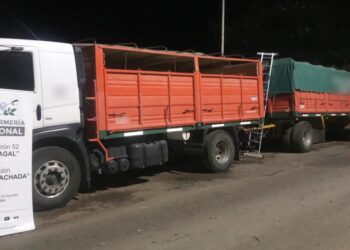 Nuevo operativo de Gendarmería: El contrabando hormiga de soja también se registra en la frontera con Bolivia