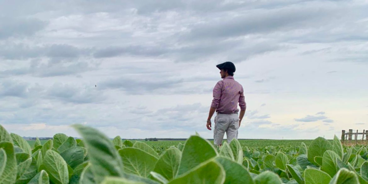 Los precios de la soja y el maíz en la Argentina se divorciaron de Chicago por la incertidumbre generada por la “carambola climática”