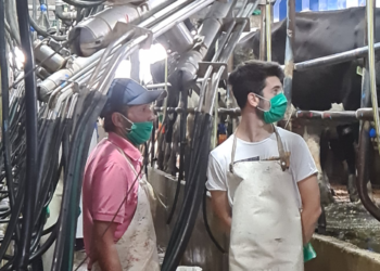 #PocoFelizDiadelTambero: Productores bonaerenses comenzaron a movilizarse ante el planchazo del precio de la leche