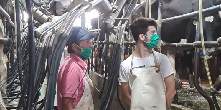 #PocoFelizDiadelTambero: Productores bonaerenses comenzaron a movilizarse ante el planchazo del precio de la leche