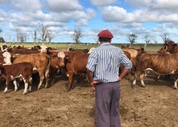 Trabajadores rurales lograron un ajuste salarial del 36,1%