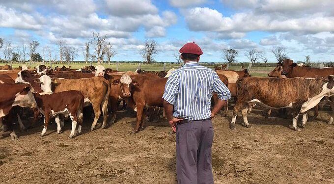 Trabajadores rurales lograron un ajuste salarial del 36,1%