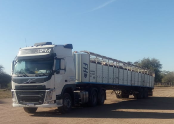 En muchas zonas de Buenos Aires el Estado no existe y transportistas deben pagar “peajes” en dinero o animales para poder ingresar a los frigoríficos