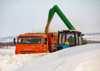 ¿En qué consisten las retenciones móviles para cereales que implementará el gobierno ruso?