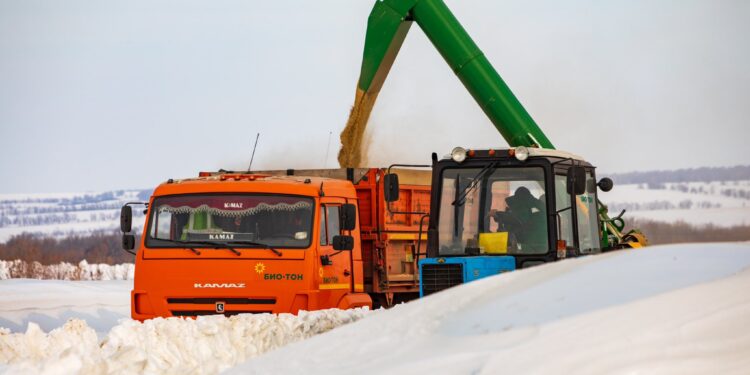¿En qué consisten las retenciones móviles para cereales que implementará el gobierno ruso?