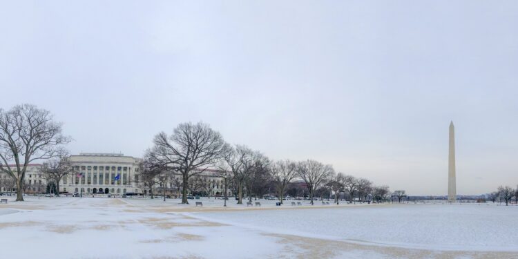 Factor bajista: El USDA proyectó que este año los productores estadounidenses sembrarán soja hasta en las macetas