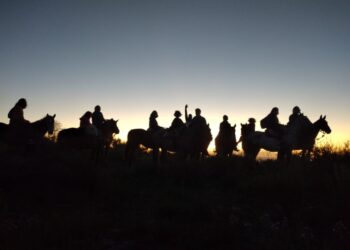 Evelaine y su bella familia elaboran vinagres biodinámicos en toneles de roble, mientras cabalgan bajo la luz de la luna