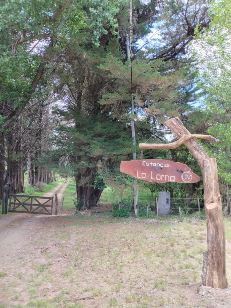 Evelaine y su bella familia elaboran vinagres biodinámicos en toneles de roble, mientras cabalgan bajo la luz de la luna