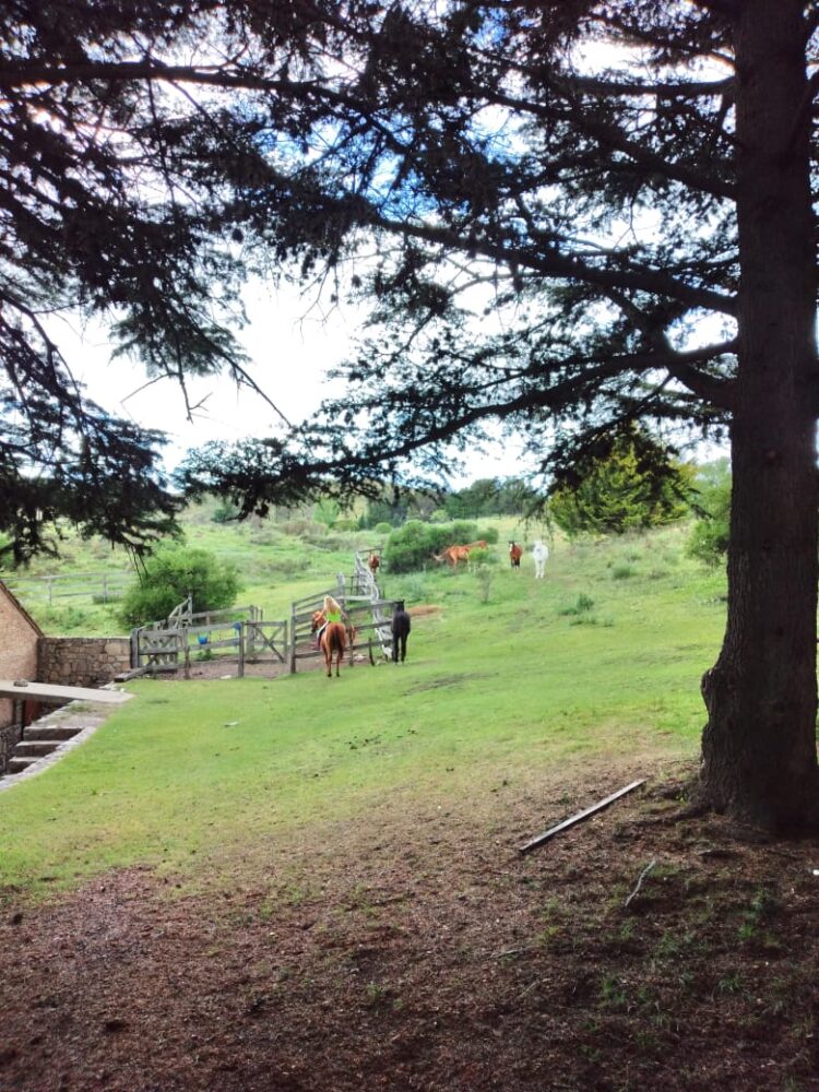 Evelaine y su bella familia elaboran vinagres biodinámicos en toneles de roble, mientras cabalgan bajo la luz de la luna