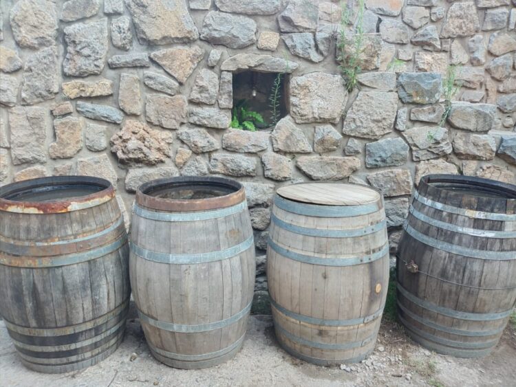 Evelaine y su bella familia elaboran vinagres biodinámicos en toneles de roble, mientras cabalgan bajo la luz de la luna