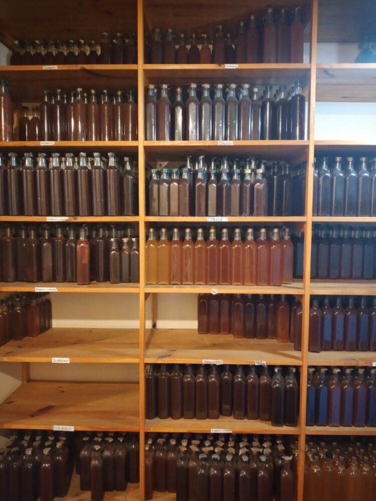 Evelaine y su bella familia elaboran vinagres biodinámicos en toneles de roble, mientras cabalgan bajo la luz de la luna