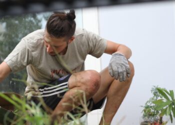 ¿Qué son los jardines medicinales? Julián promueve un modelo que se adapta a la terraza o el balcón de la dama y el caballero