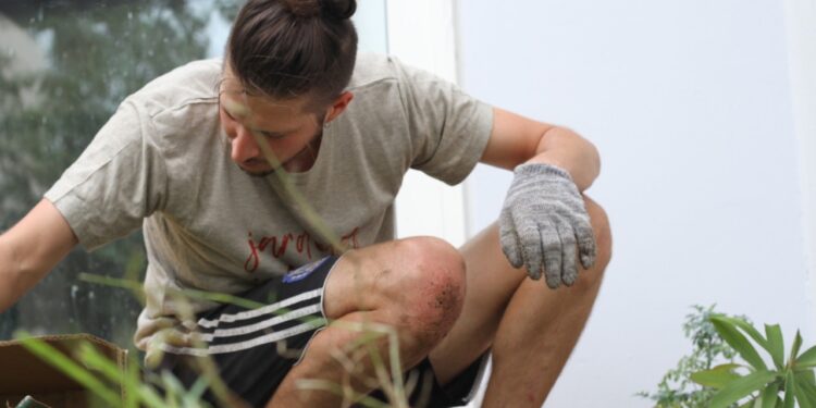 ¿Qué son los jardines medicinales? Julián promueve un modelo que se adapta a la terraza o el balcón de la dama y el caballero
